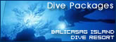 Balicasag Dive Package