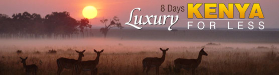 8D Luxury Kenya for LESS